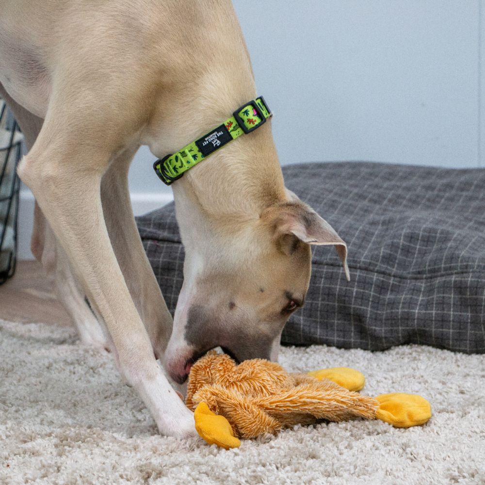 Ancol 43cm Cuddle Farmyard Floppets Dog Toy