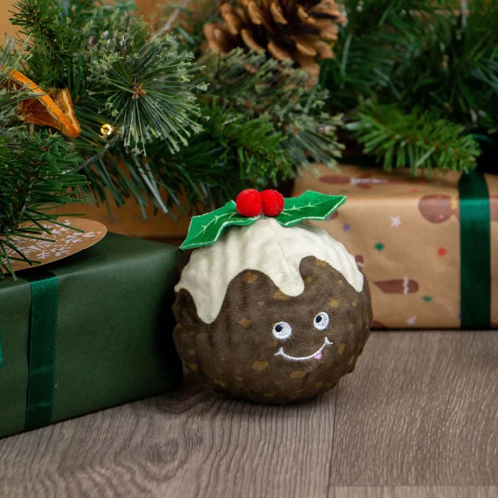 Ancol Bouncing Colin Junior Dog Toy