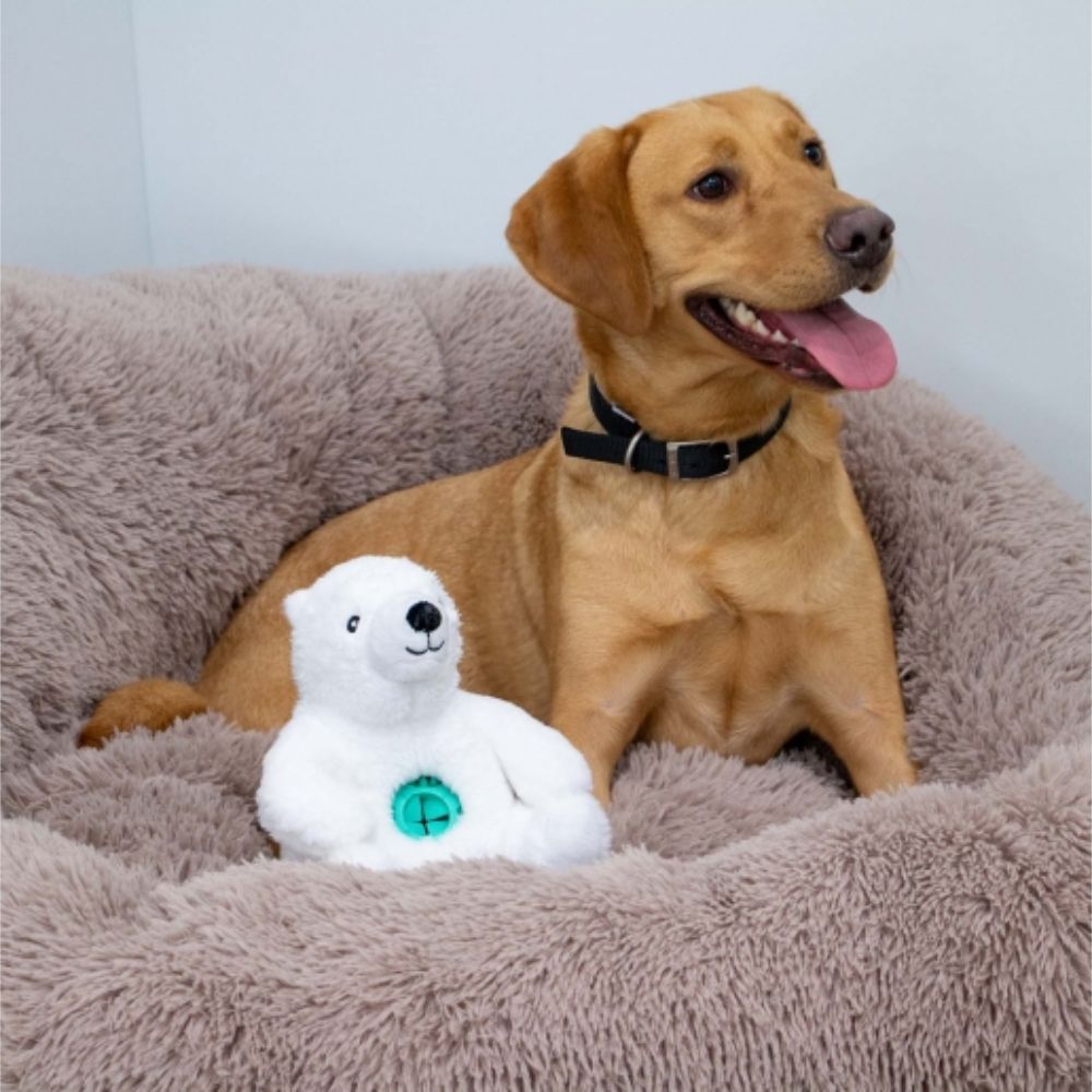 Ancol Orva Polar Bear Ball Belly Dog Toy