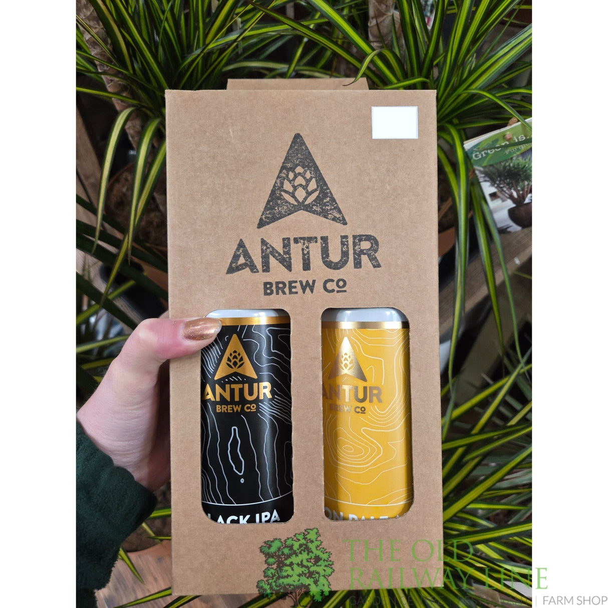 Antur 440ml Can Gift Pack (Pack of 4) - Old Railway Line Garden Centre
