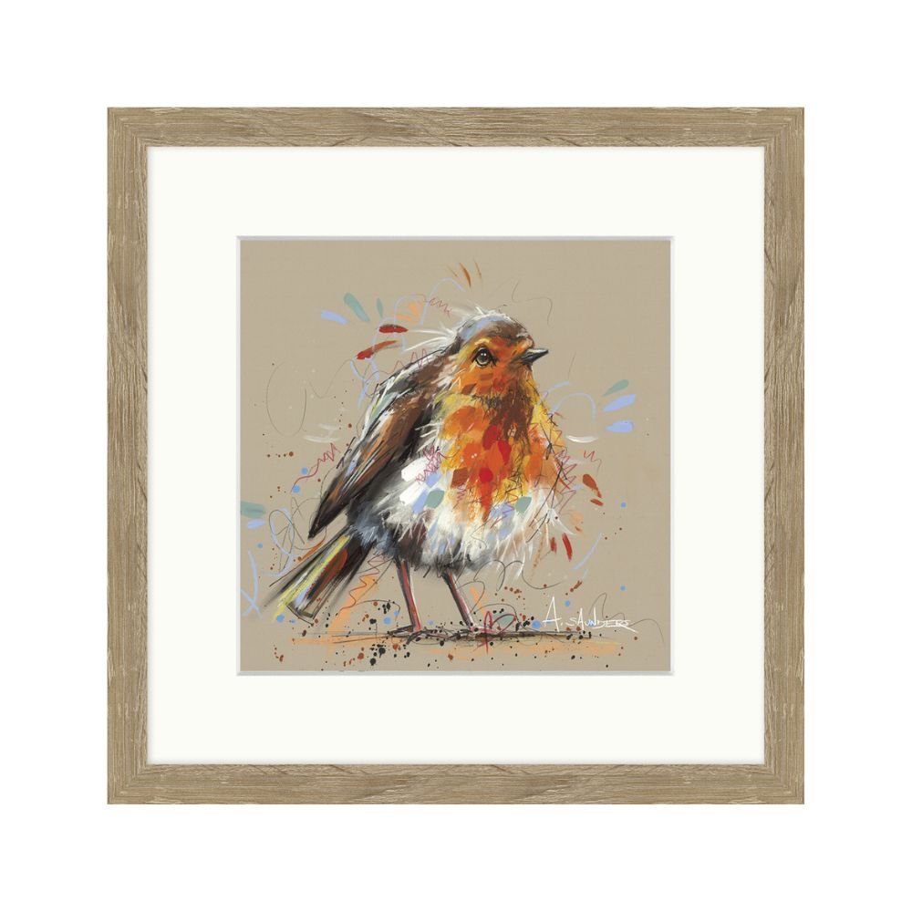 Artko 26cm 'Round Robin' Framed Print by Ashley Saunders - Old Railway Line Garden Centre