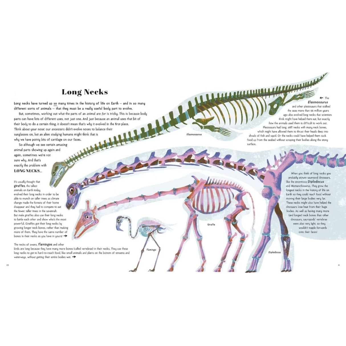 Awesome Animal Evolution by Dr Nick Crumpton - Old Railway Line Garden Centre