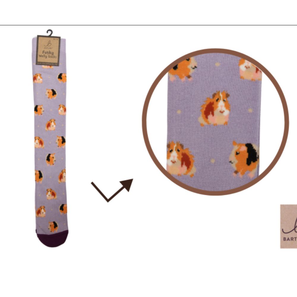 Bartleby Guinea Pig Welly Socks