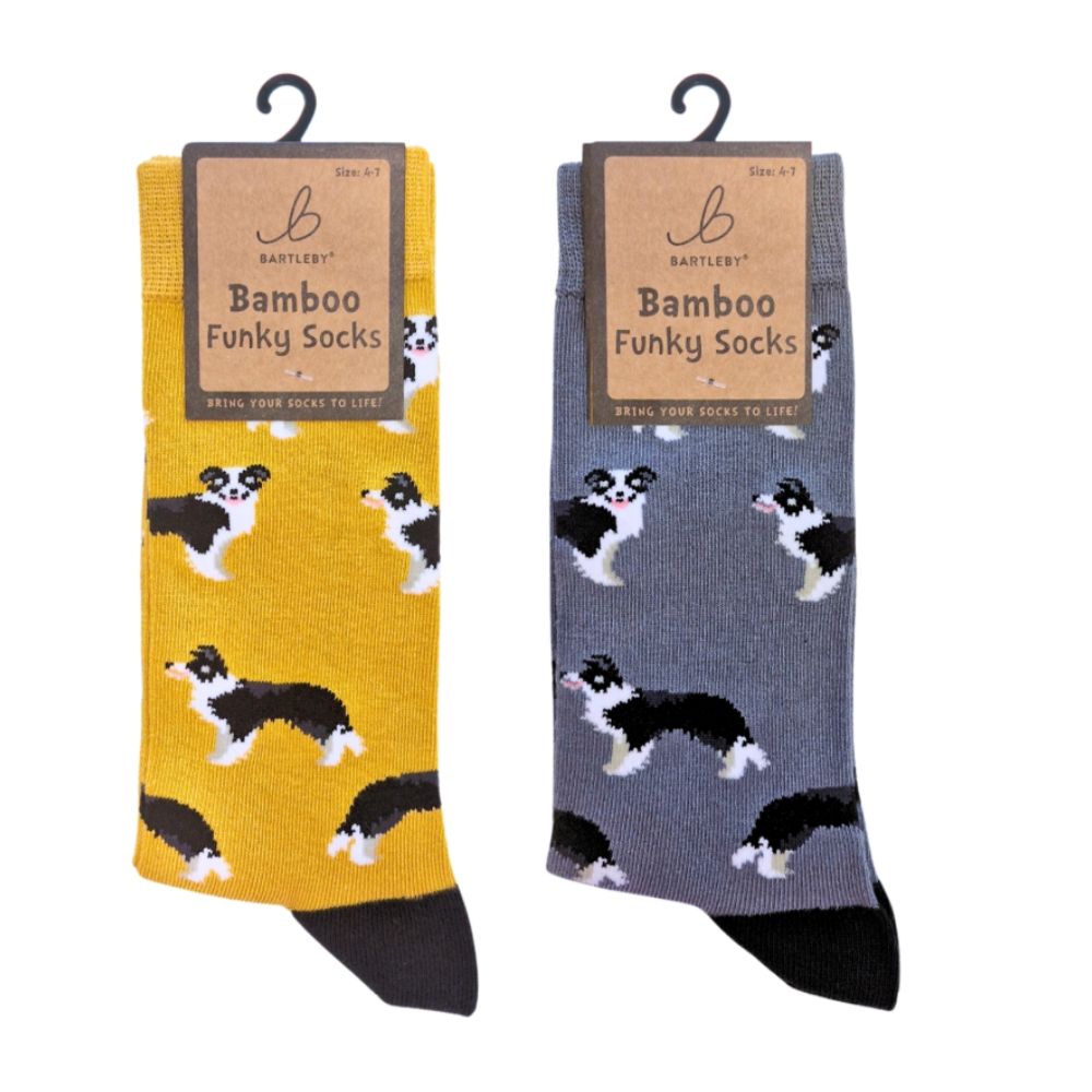 Bartleby Ladies Sheep Dog Funky Bamboo Socks - Size 4 - 7 (Assorted)