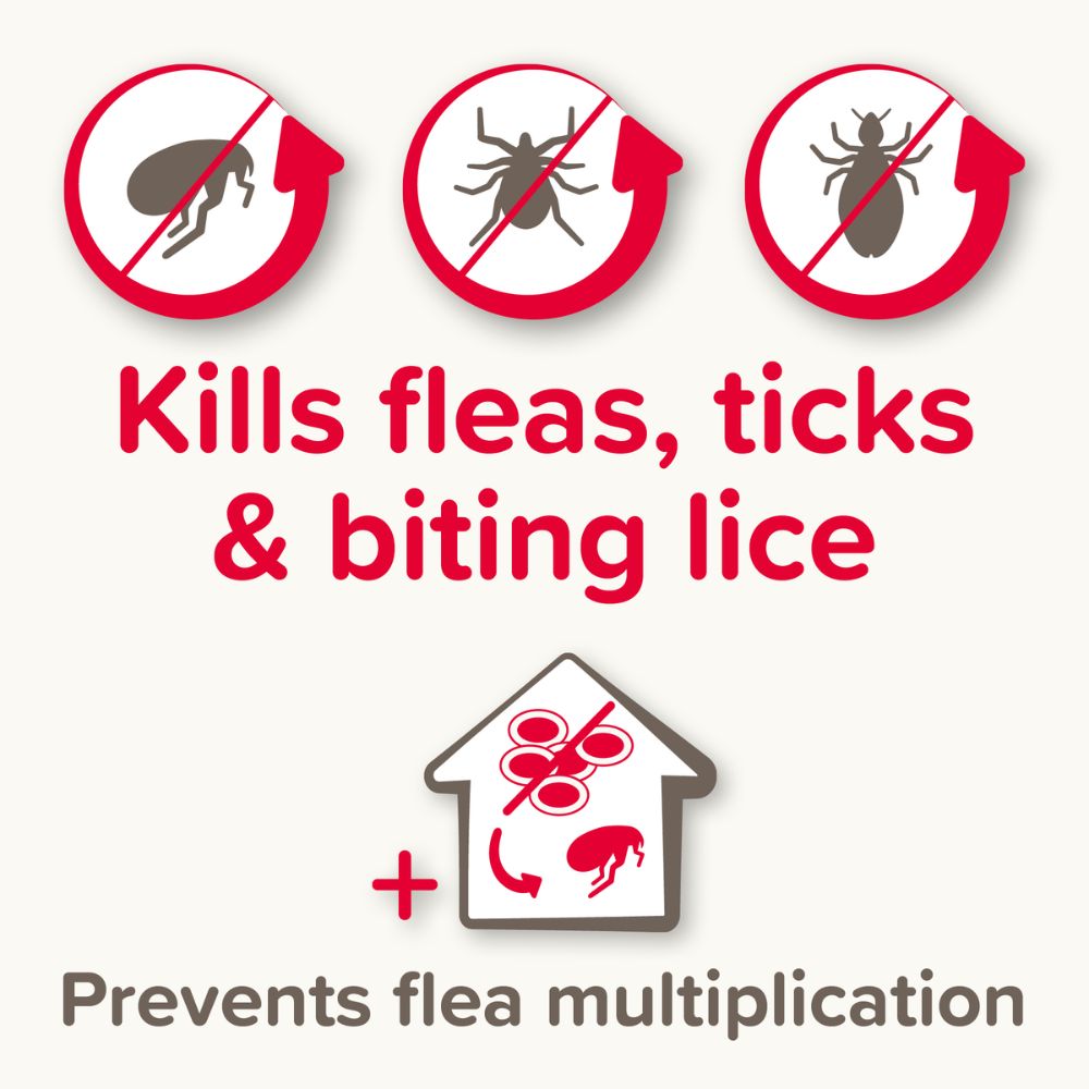 Beaphar Fiprotec Flea & Tick Spot on for Medium Dogs