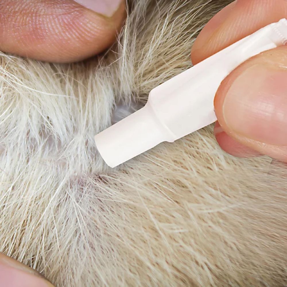 Beaphar Fiprotec Small Dog Flea & Tic Treatment