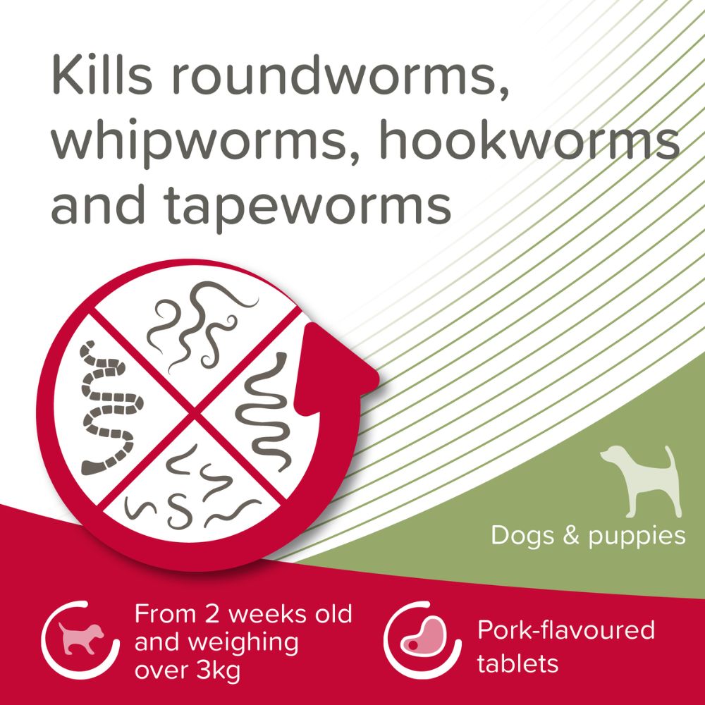 Beaphar Wormclear Worming Tablets for Large Dogs (4 Tablets)