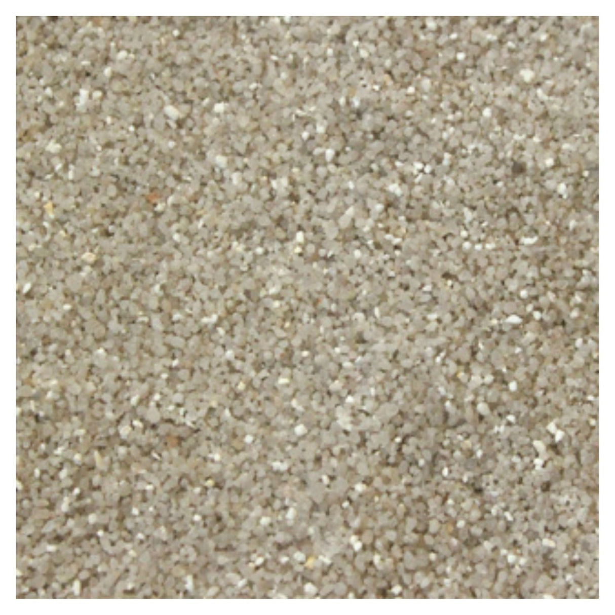 Betta Choice 5kg Snow Sand - Old Railway Line Garden Centre