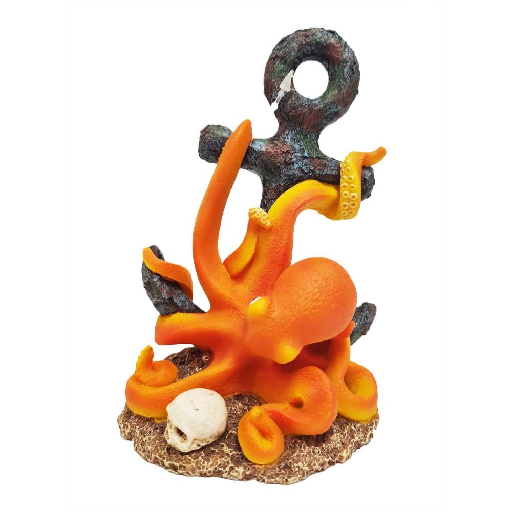 Betta Octopus on Anchor