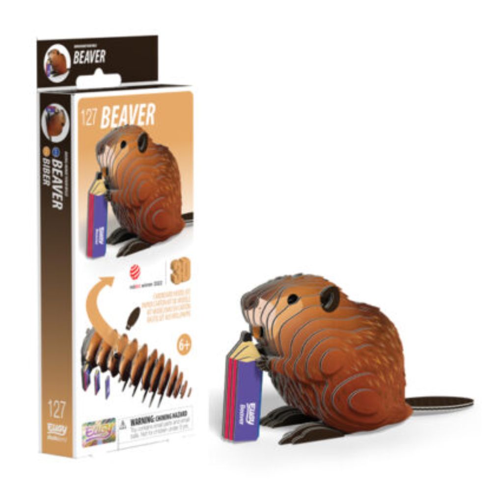 Brainstorm Toys EUGY Beaver 3D Model