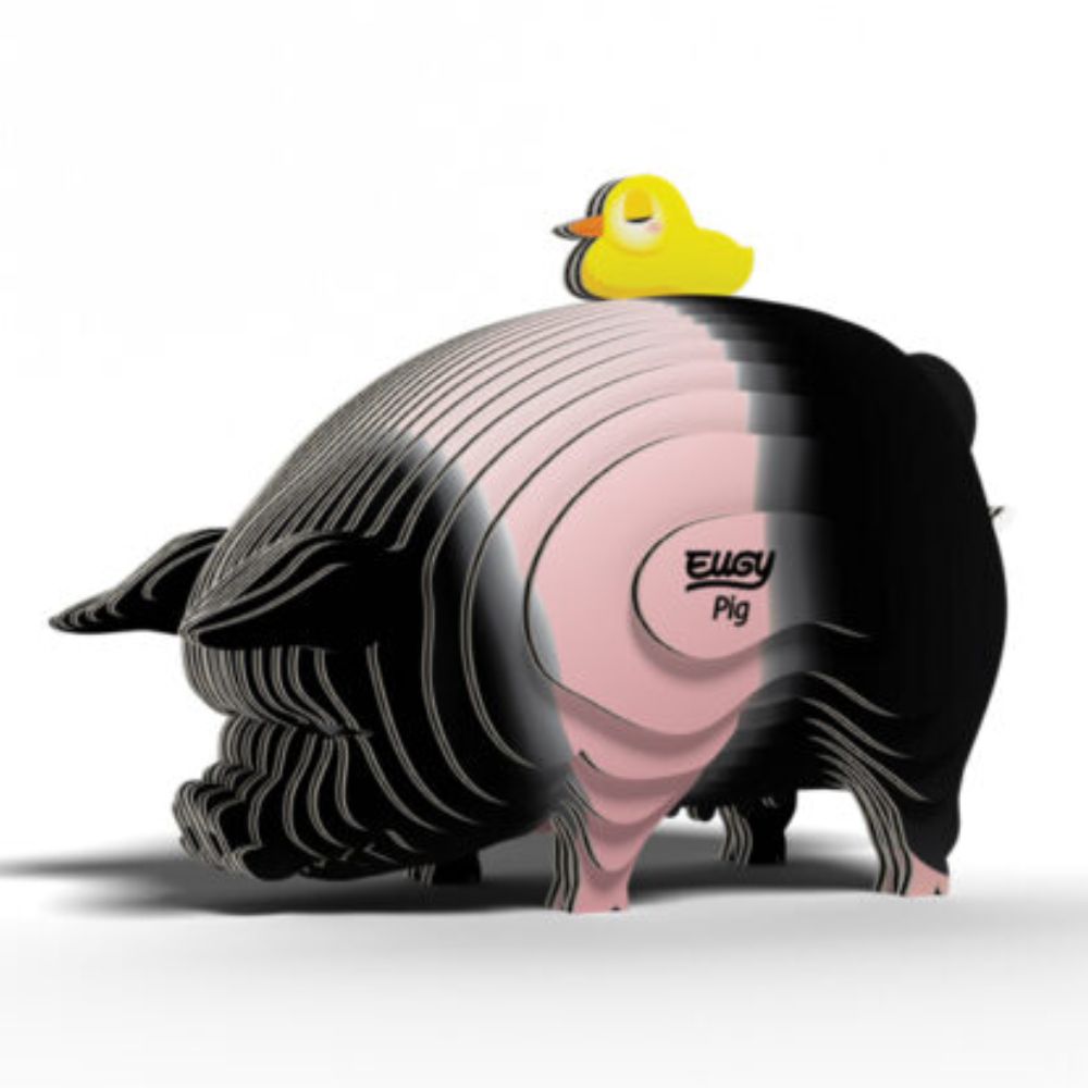 Brainstorm Toys EUGY Pig 3D Model