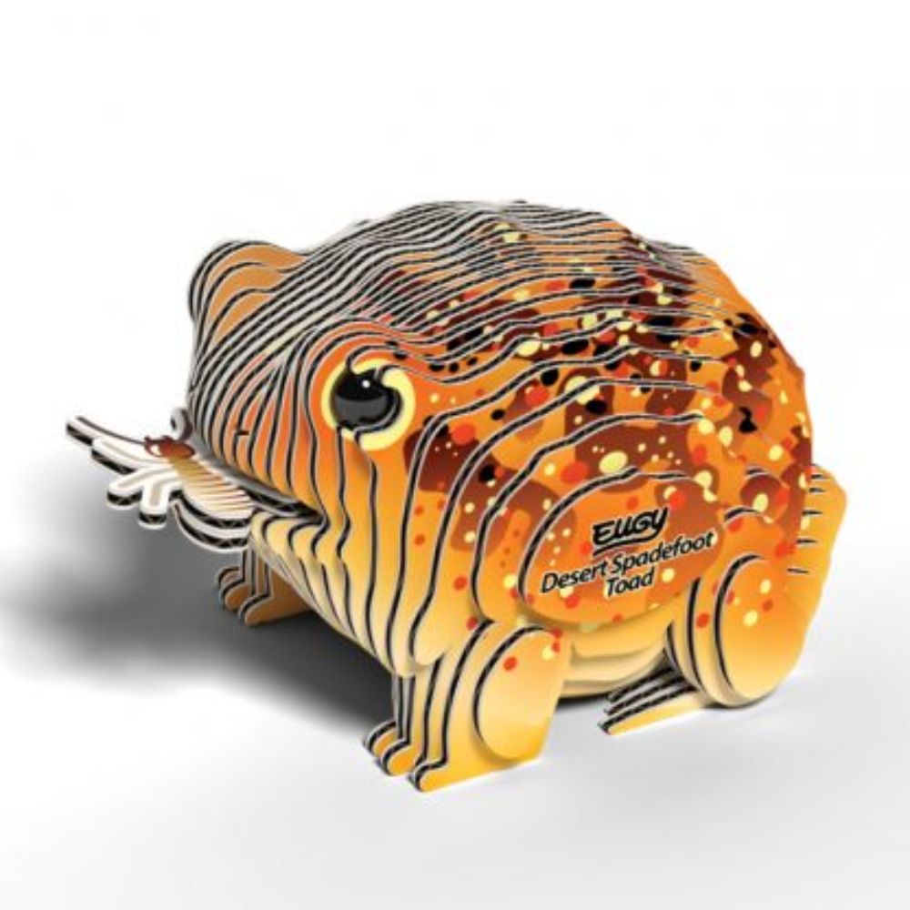 Brainstorm Toys EUGY Spadefoot Toad 3D Model