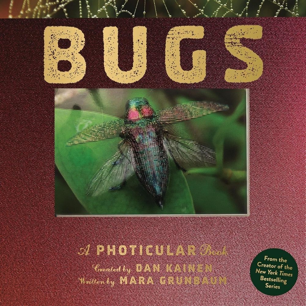 Bugs A Photicular Book by Dan Kainen
