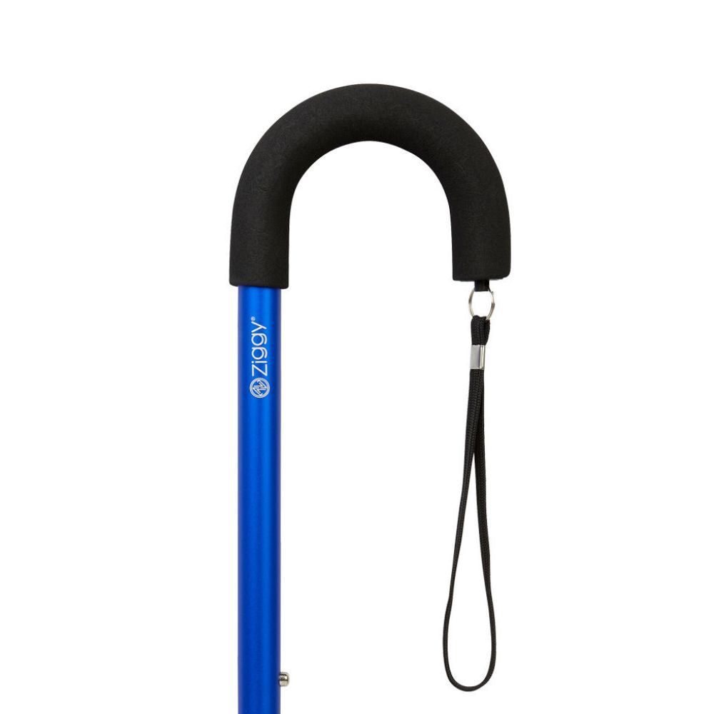 Charles Buyers 91cm Blue Crook Handle Adjustable Stick