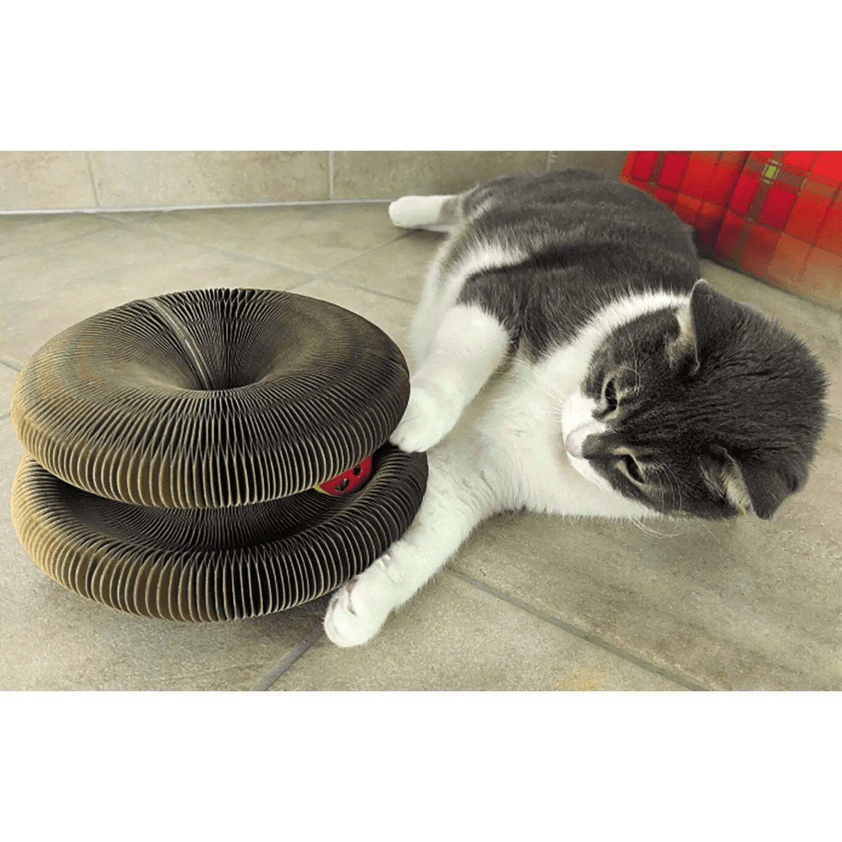 Creative Products Crazy Cat Toy - Cat Ball & Scratch Toy - Old Railway Line Garden Centre