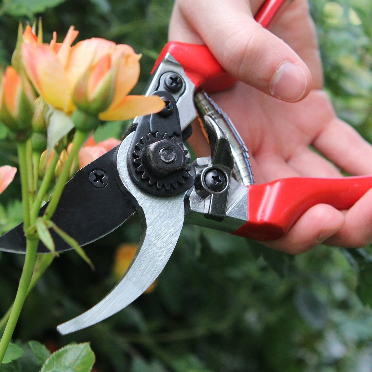Darlac Professional Bypass Pruner Secateurs - DP30 - Old Railway Line Garden Centre