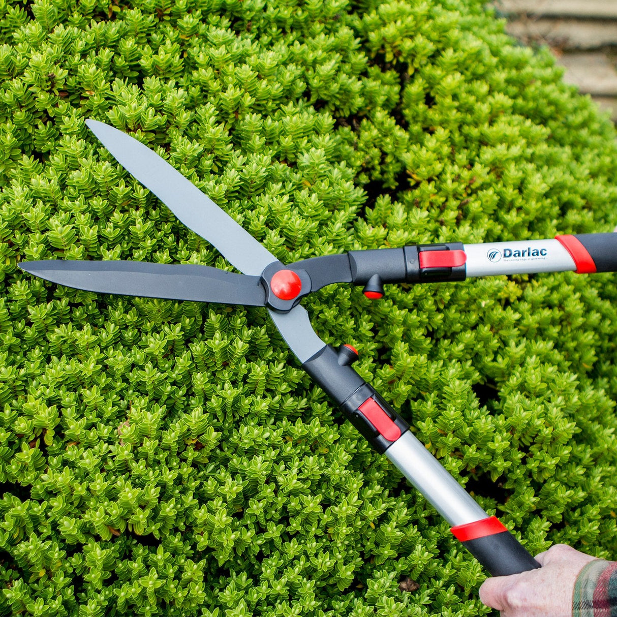 Darlac Telescopic Hedge Shear - DP810 - Old Railway Line Garden Centre