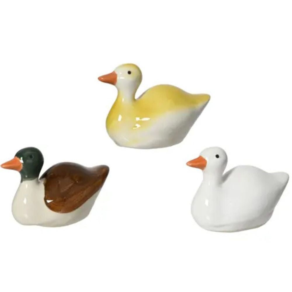 Decoris Porcelain Frog Shiny Duck Decoration (Choice of 3) - Old Railway Line Garden Centre