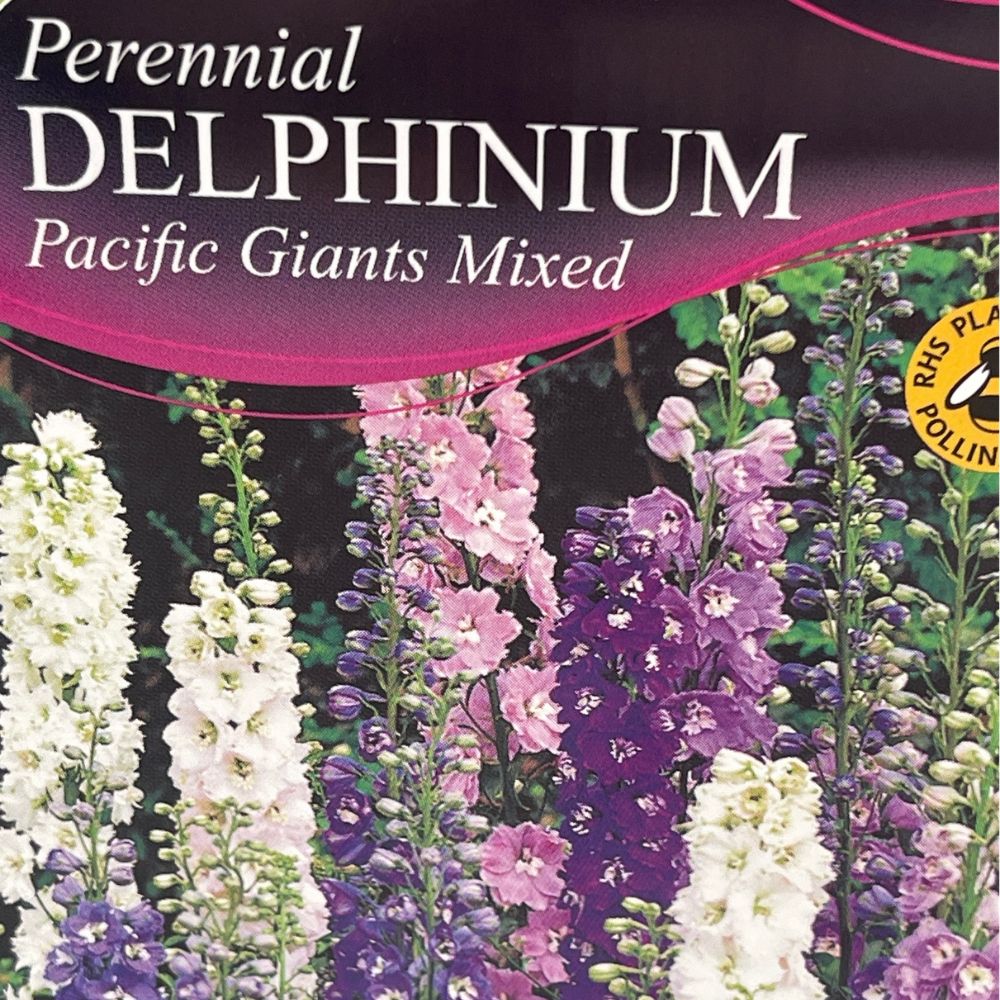 Delphinium Pacific Giant Mixed Plant - 1Ltr Pot