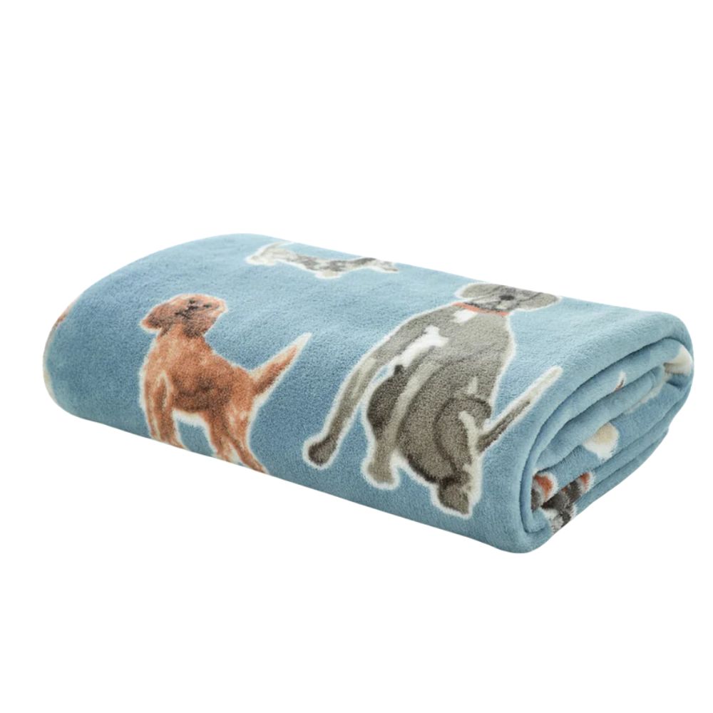 Deyongs 130cm x 170cm Cozy Comforts Kennel Club Throw - Blue