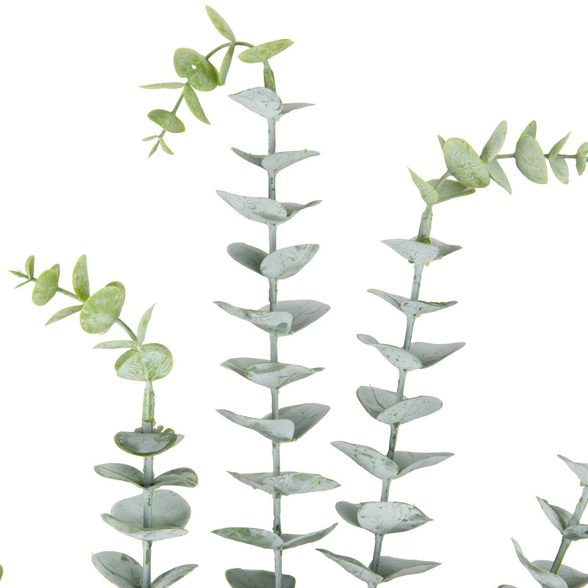 Eleganza Floral Eucalyptus Stem Dusted Green