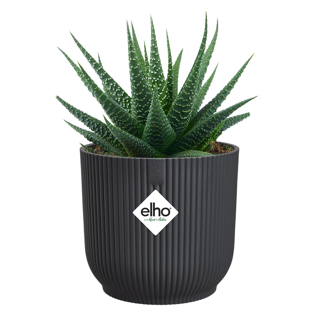 Elho 11cm Vibes Fold Round Mini Pot - Anthracite