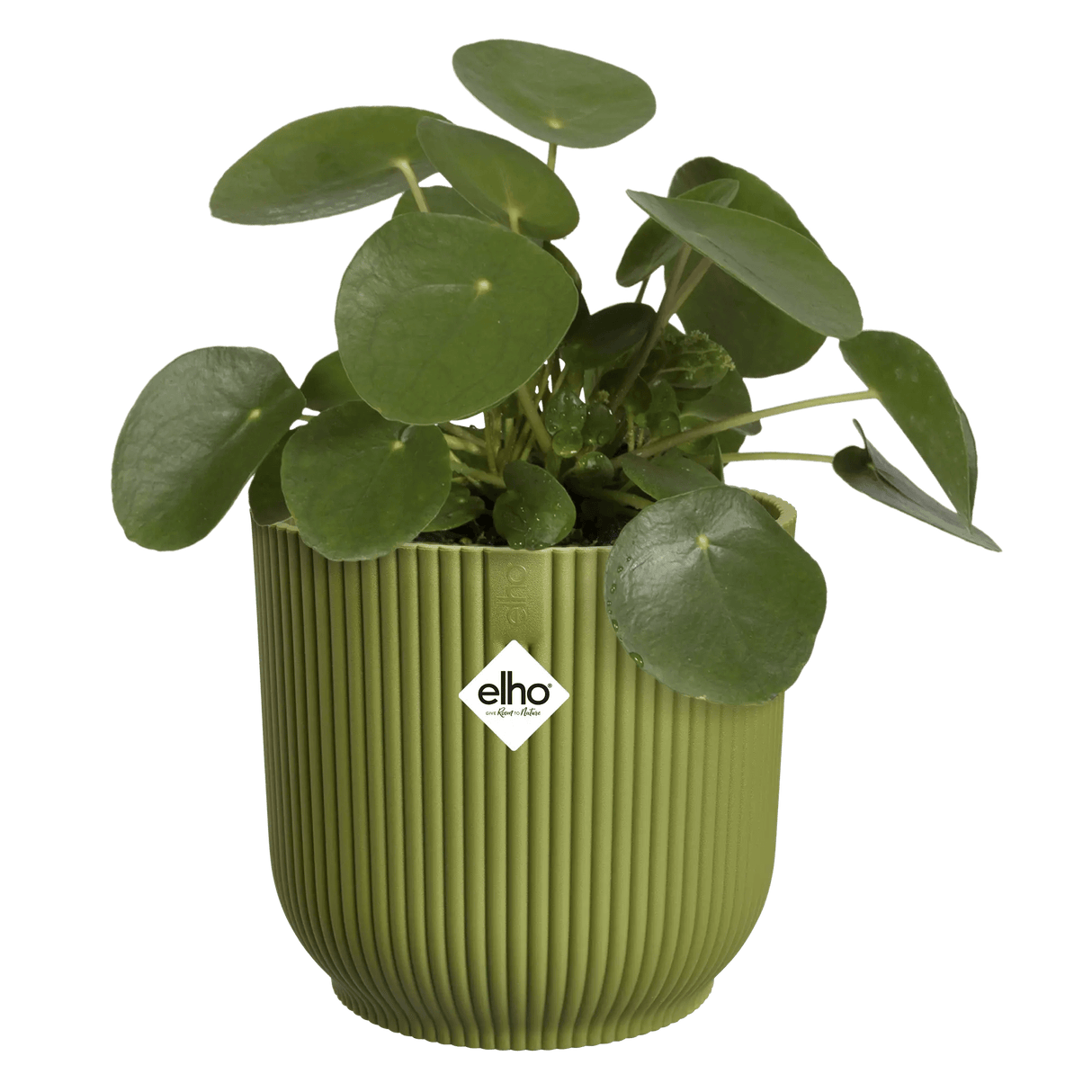 Elho 18cm Vibes Fold Round Plant Pot - Fern Green - Old Railway Line Garden Centre