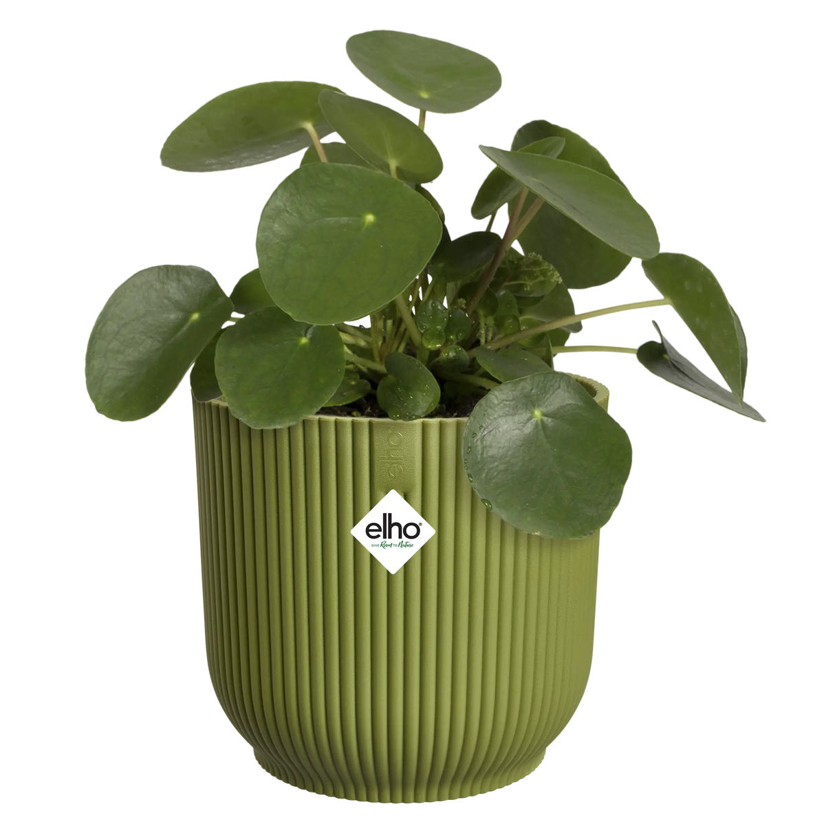Elho 22cm Vibes Fold Round Plant Pot - Fern Green