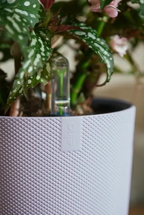 Elho 23cm Lavender Lilac Jazz Round Recycled Plastic Pot - Old Railway Line Garden Centre