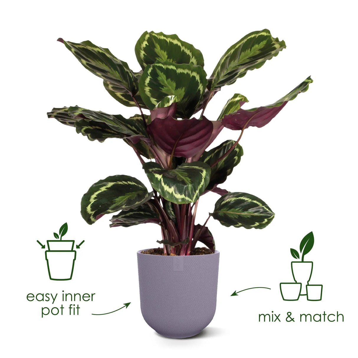 Elho 35cm Lavender Lilac Jazz Round Recycled Plastic Pot - Old Railway Line Garden Centre