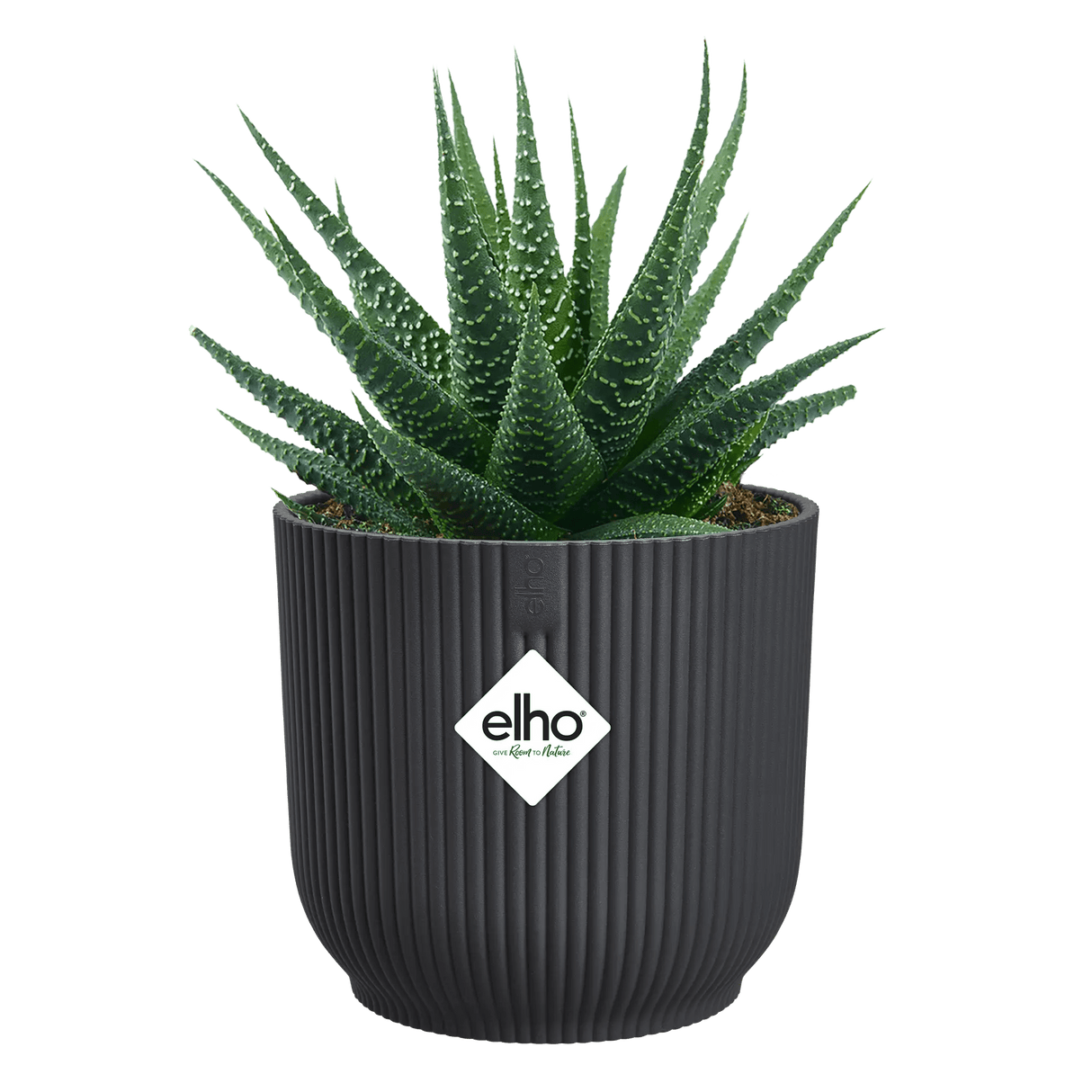 Elho 7cm Vibes Fold Round Mini Pot - Anthracite - Old Railway Line Garden Centre