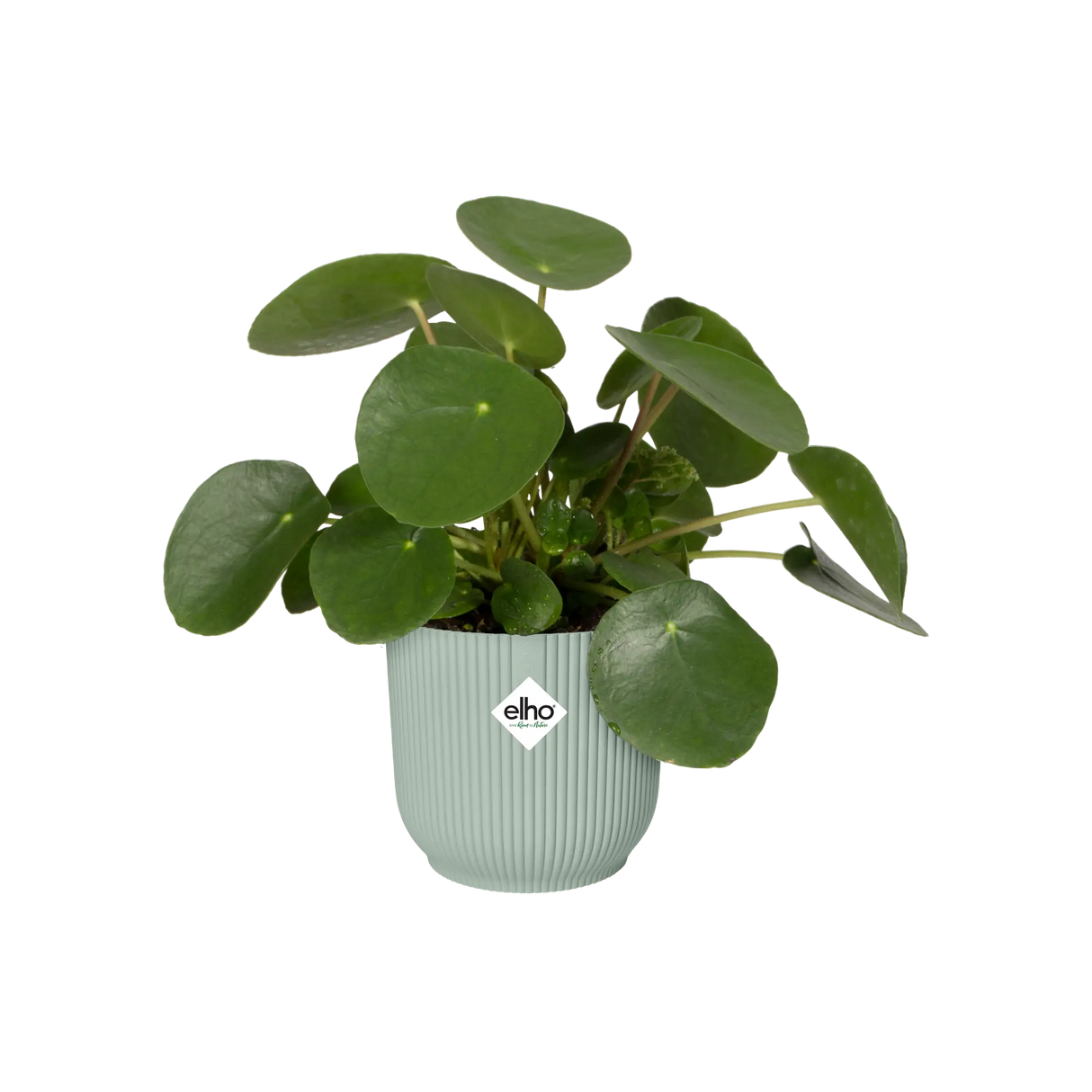 Elho 9cm Vibes Fold Round Mini Pot - Sorbet Green