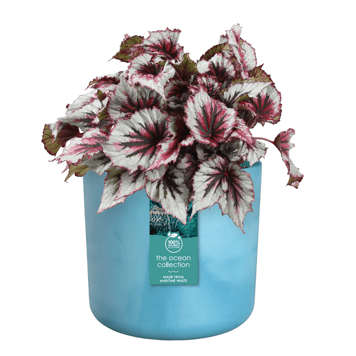 Elho Ocean Collection Atlantic Blue Recycled Waste Round Indoor Pot 14cm - Old Railway Line Garden Centre
