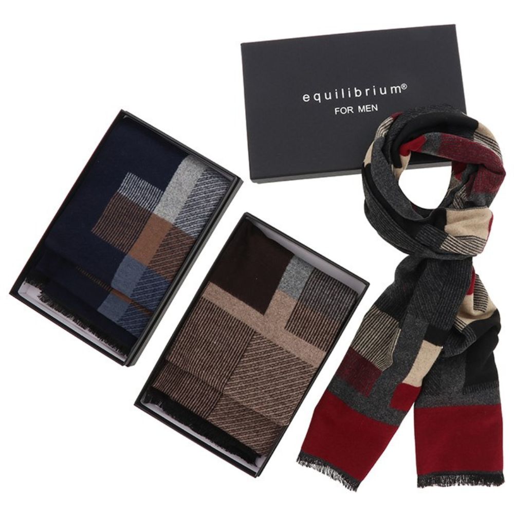 Equilibrium For Men Modern Colour blocks Scarf (Choice of 2)