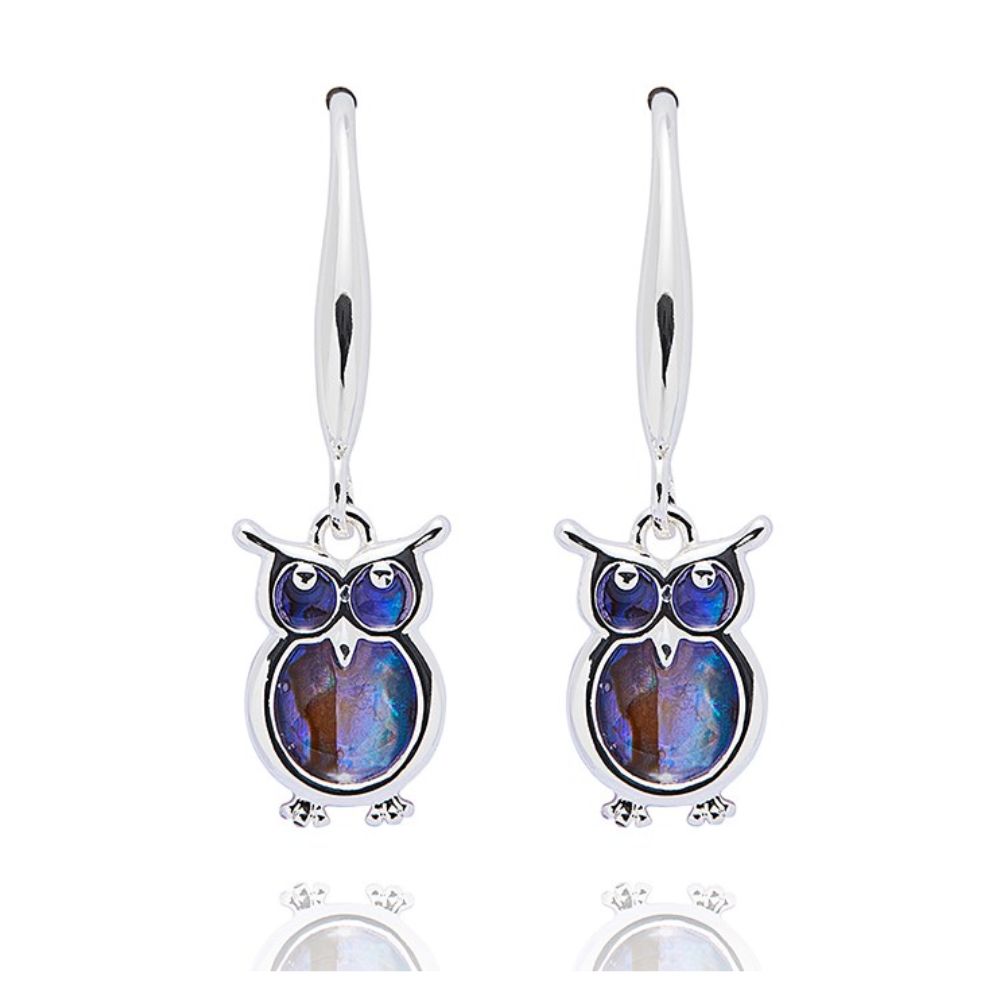 Equilibrium Paua Shell Owl Drop Earrings - Silver