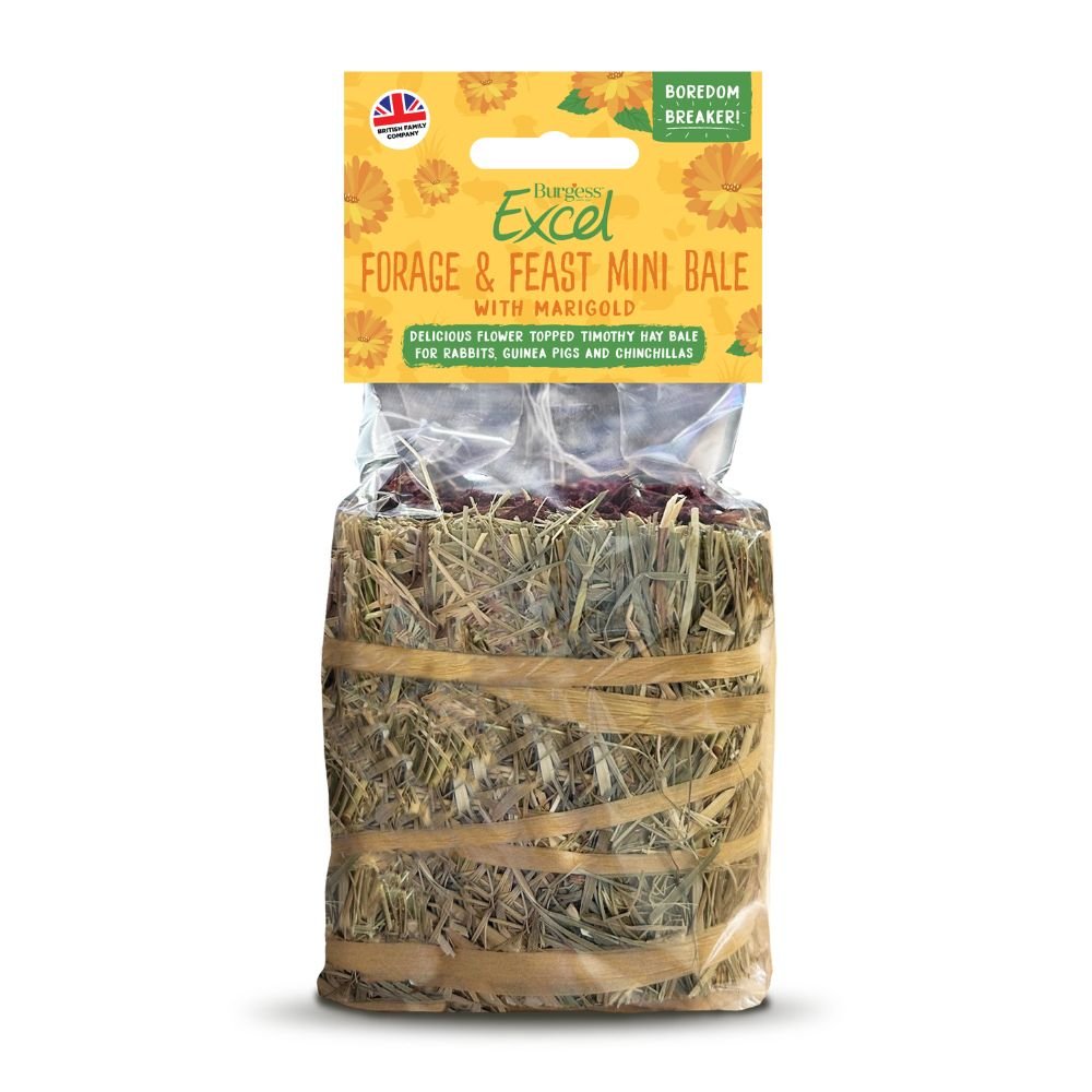 Excel Forage & Feast 100g Marigold Mini Hay Bale - Old Railway Line Garden Centre