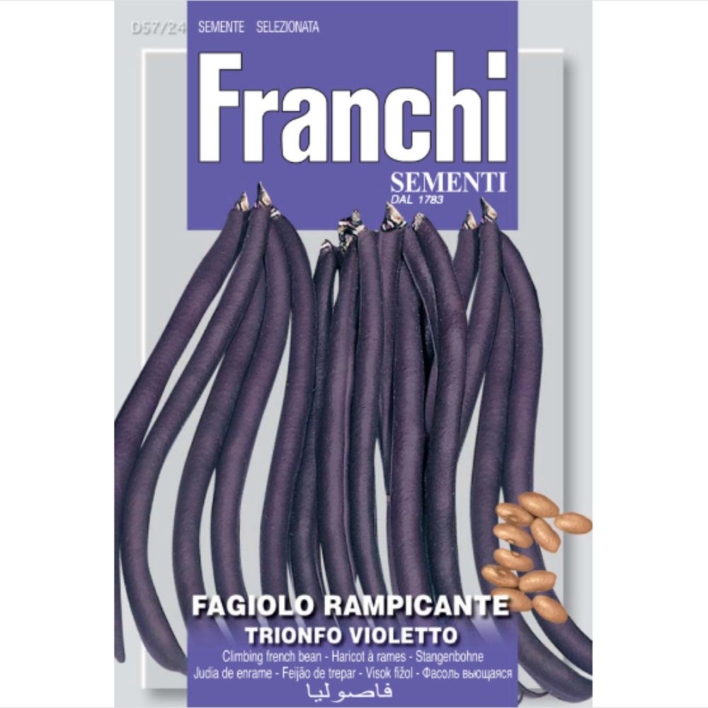 Franchi Sementi Bean (Fagiolo) Trionfo Viol Seeds