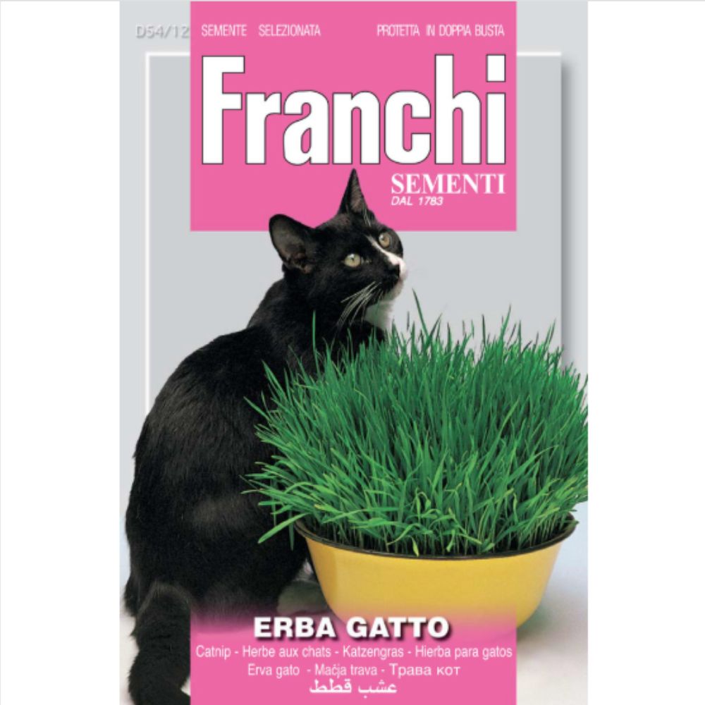Franchi Sementi Cat Grass Seeds