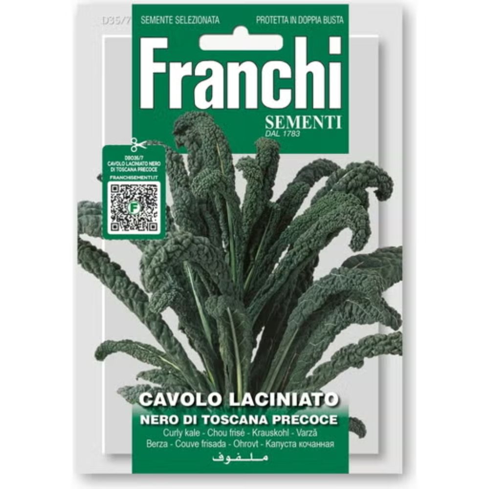 Franchi Sementi Cavolo Nero Kale Seeds