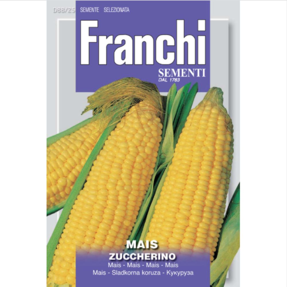 Franchi Sementi Mais Sweetcorn Zuccherino Seeds