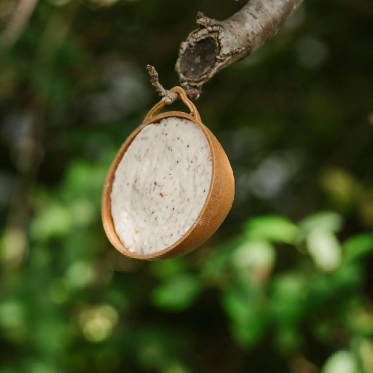 Gardman Coconut Feeder - Half