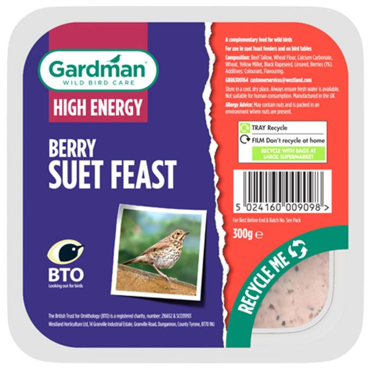 Gardman Wild Bird Seed Suet Feast - Old Railway Line Garden Centre