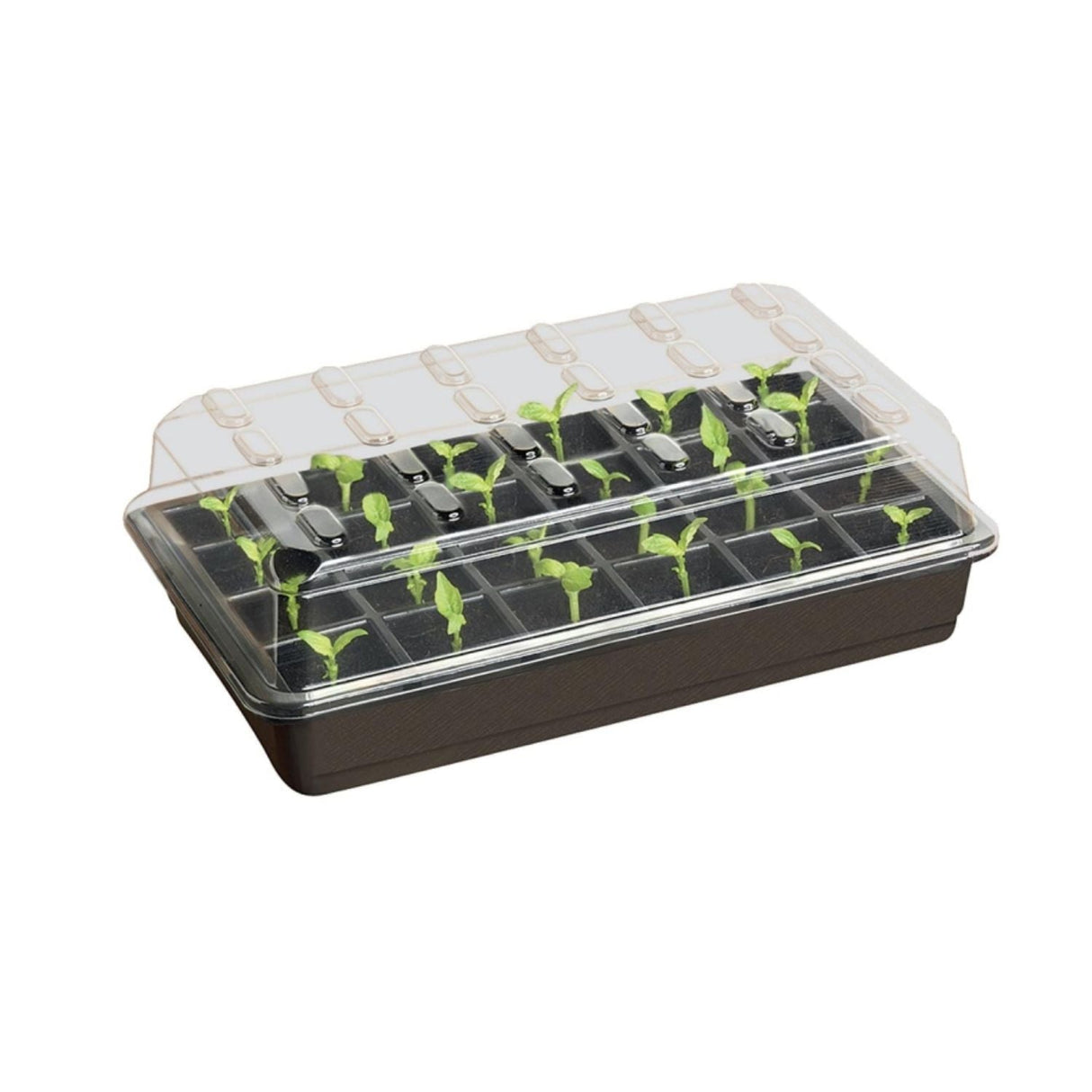 Garland 24 Cell Seed Starter Kit - Old Railway Line Garden Centre