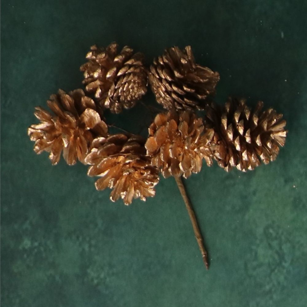 Gisela Graham Natural/Gold Cone Bunch Pick