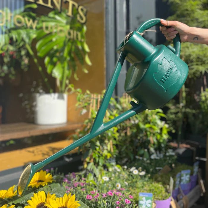 Haws 2.25 Litre Green Sutton Splash Conservatory Watering Can - Old Railway Line Garden Centre