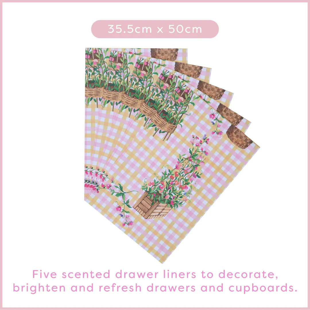 Heathcote & Ivory Sweet Pea Scented Drawer Liners