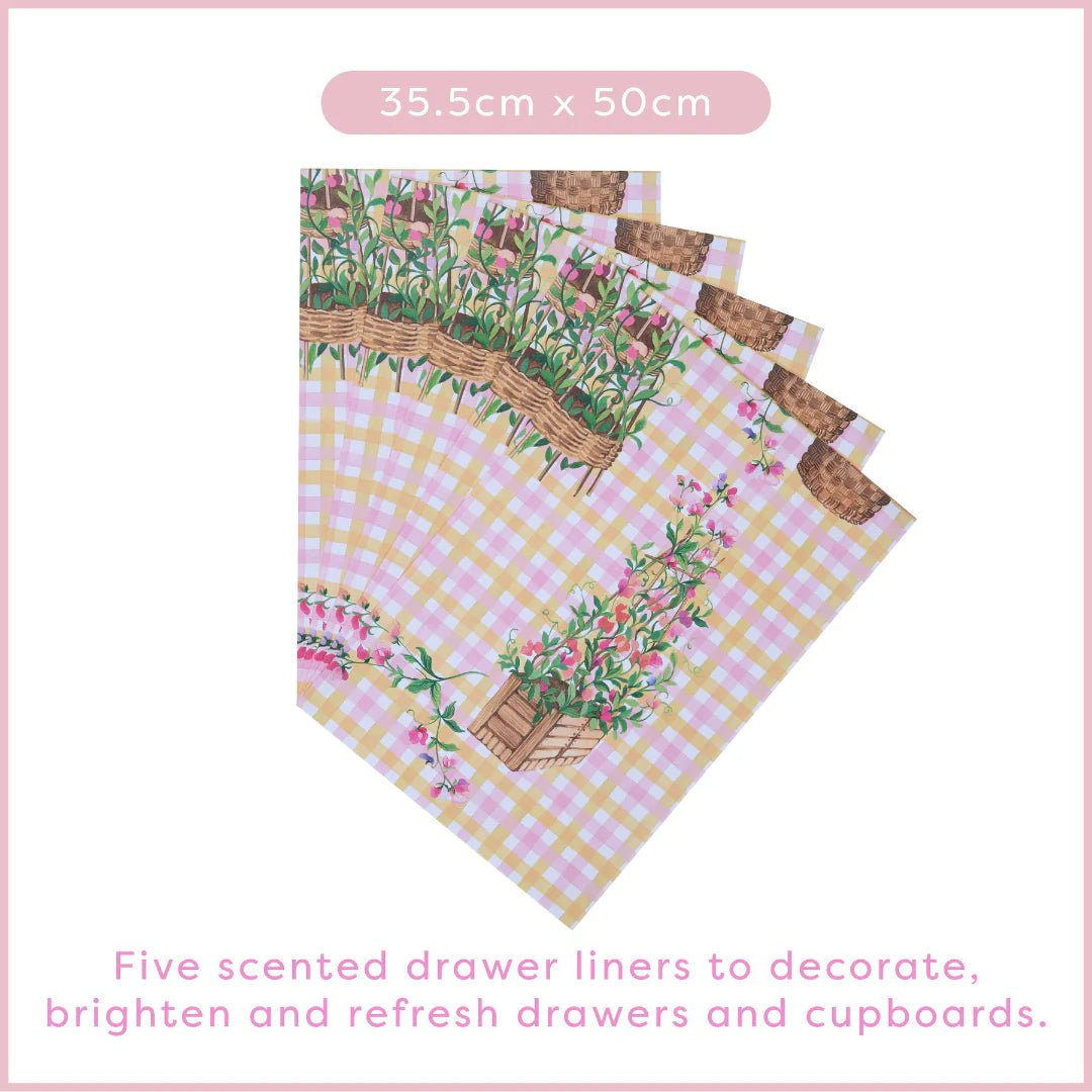 Heathcote & Ivory Sweet Pea Scented Drawer Liners - Old Railway Line Garden Centre