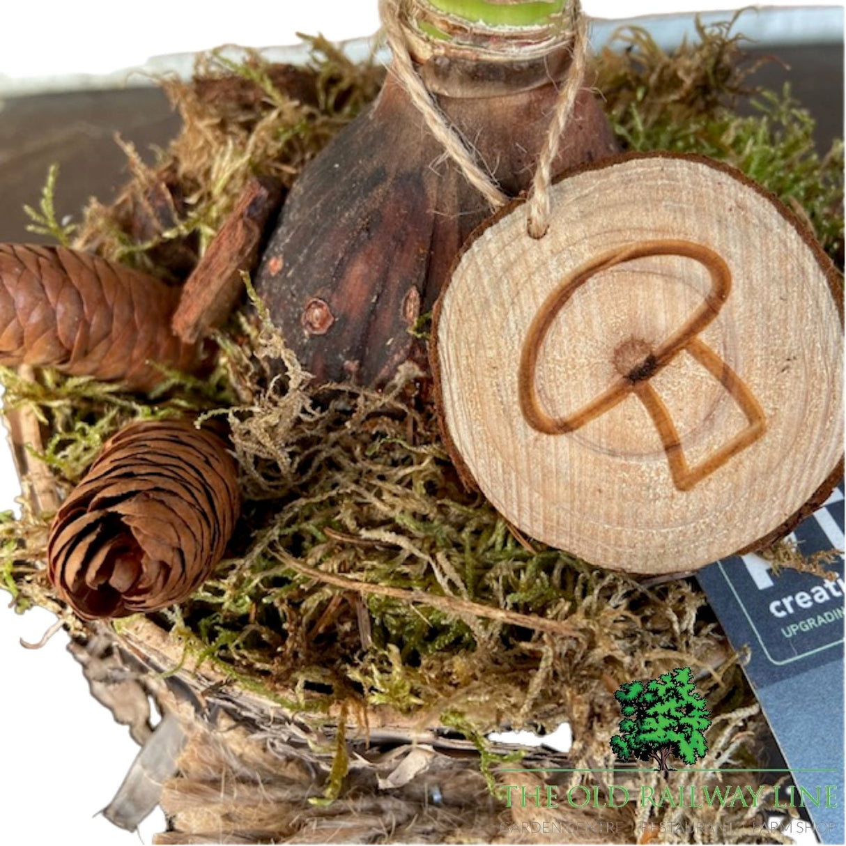 Hippeastrum Wooden Planter - 15cm Pot