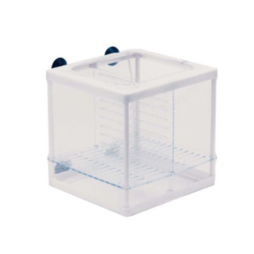 Ista Double Isolation & Breeding Box - Old Railway Line Garden Centre