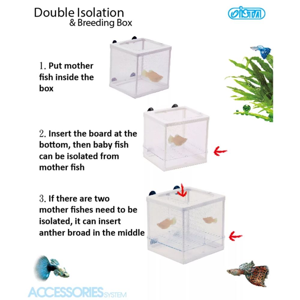Ista Double Isolation & Breeding Box